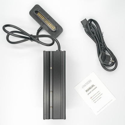 Quick Charger for Radinn Batteries