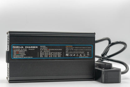 Quick Charger for Radinn Batteries